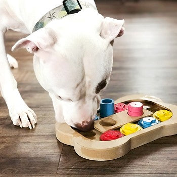 Brainiac Busy Bone™ Interactive Pet Toy